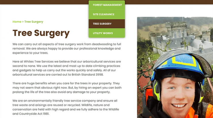 Websites for Tree Surgeons, made in Edinburgh.