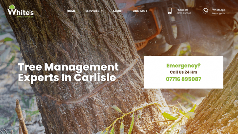 Websites for Tree Surgeons, made in Edinburgh.